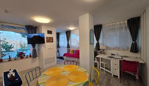 Family Studio