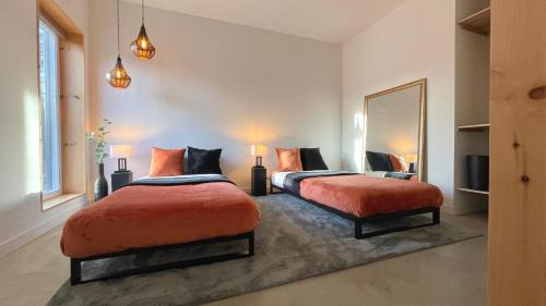 Superior Double or Twin Room with Mountain View