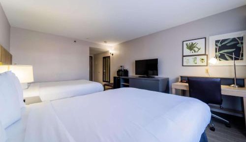 Quadruple Room with Two Queen Beds - Non Smoking