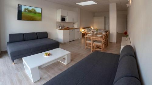 Apartment with Terrace