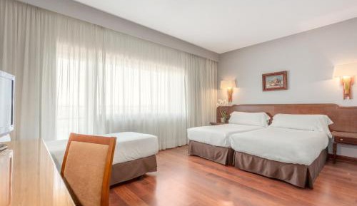 Double or Twin Room with Extra Bed