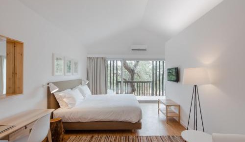 Double Room with Terrace