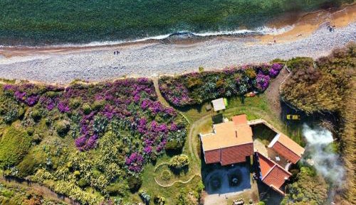 Studio with Garden View