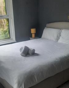 Deluxe Double Room with Shower