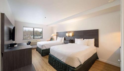 Queen Room with Two Queen Beds - Disability Access/Non-Smoking