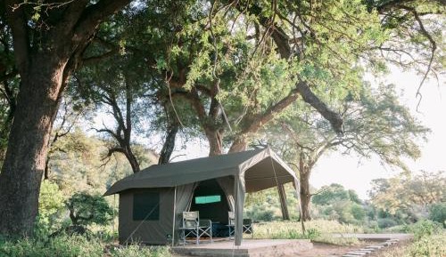 Basic Tent