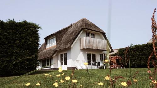 Waddenduyn 5 – Pets allowed