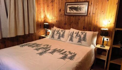 Wood Cabin (6 adults)