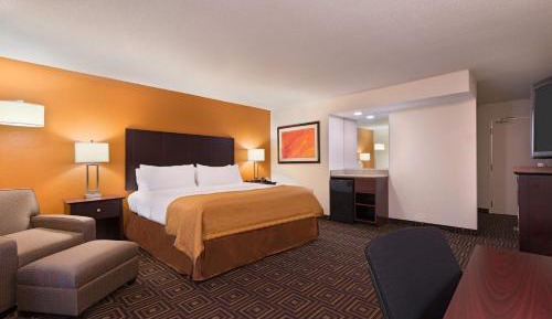 One-Bedroom King Suite