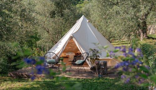 Tent