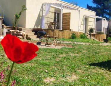 Double Room with Terrace