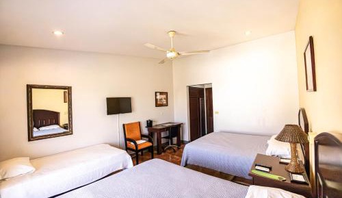 Basic Triple Room