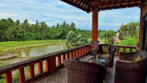 Suite with Rice Field View
