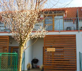 Duplex Apartment