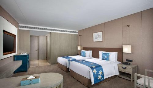 Executive Twin Room