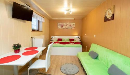Studio with Sofa Bed