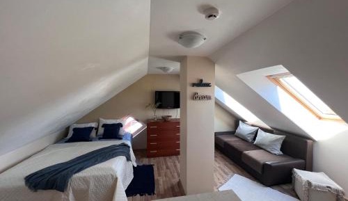 King Studio with Sofa Bed