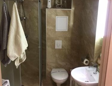 Family Room with Shower