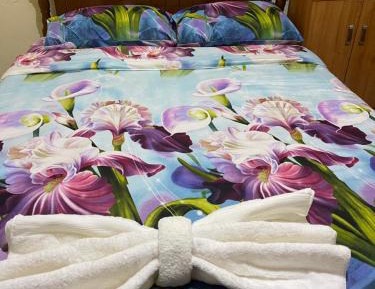 Double Room with Patio
