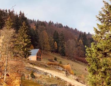 Two-Bedroom Chalet
