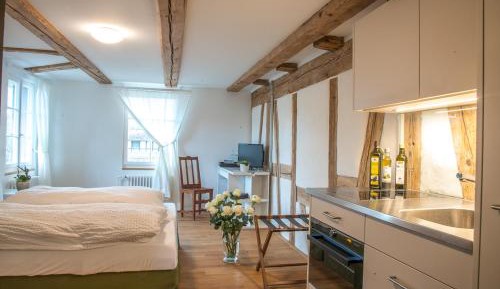 Studio with Garden View