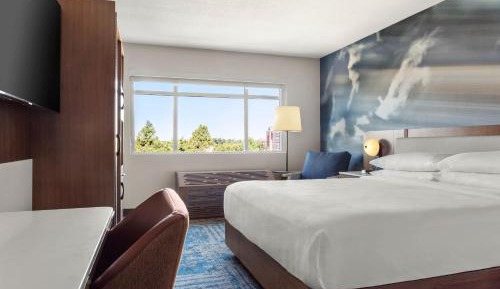 Traditional, Guest room, 1 King