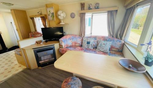 Mobile Home