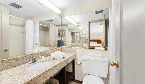 One-Bedroom King Suite - Non-Smoking