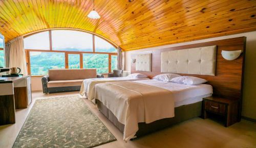 Family Room with Mountain View