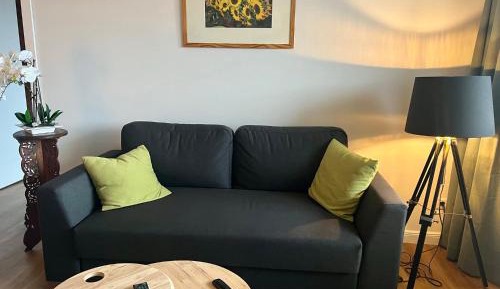 Superior One-Bedroom Apartment with Balcony