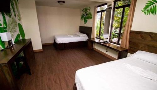 Superior Deluxe Double or Twin Room 