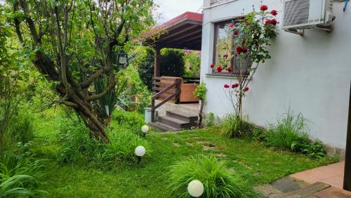 Studio with Balcony (3 Adults) 
