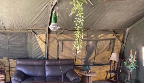 Tent