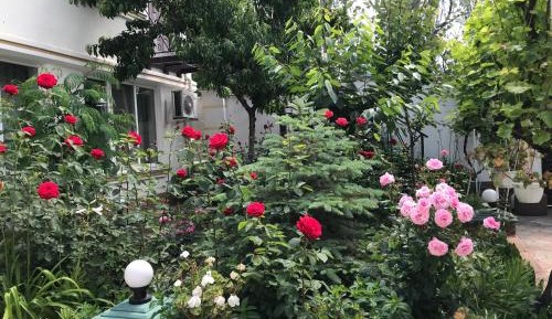 Twin Room with Bathroom