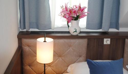 Cozy Double Room