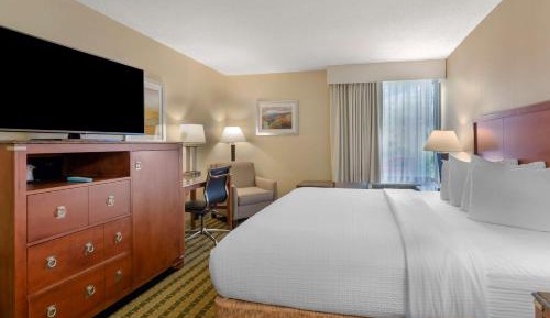 King Room with Mobility Accessible Roll-In Shower