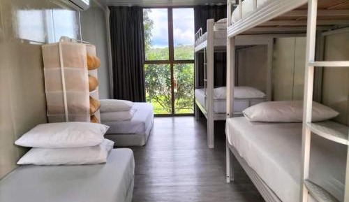Mixed Dormitory Room