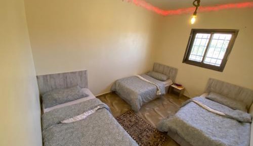Basic Triple Room with Shared Bathroom
