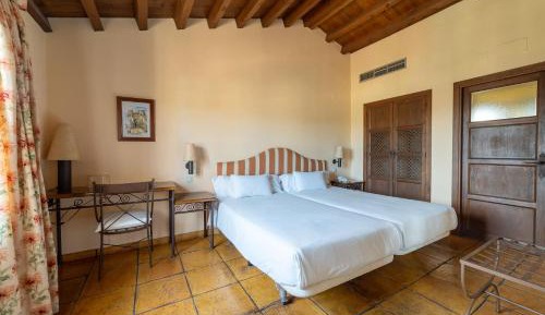 Double or Twin Room with Terrace