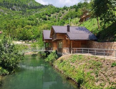 Bungalow - Water Front 