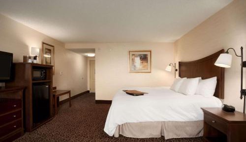 Deluxe King Room with Sofa Bed - Non-Smoking