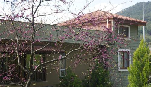 Duplex Suite