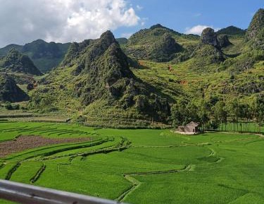 King Room with Garden View