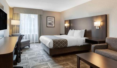 Queen Room with Sofa Bed