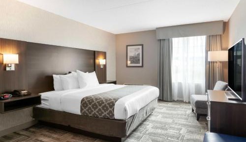 King Suite