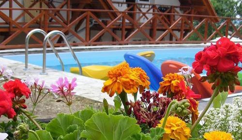 Studio with Balcony and Pool View (4 adults)