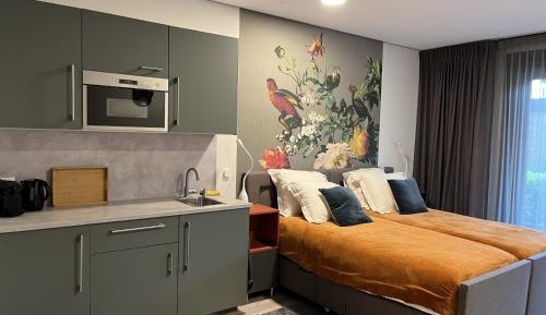Double Room with Terrace