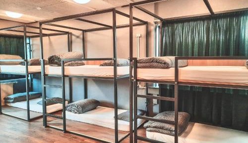Bed in 10-Bed Dormitory Room 