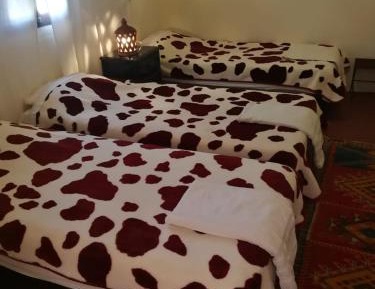 Kasbah Quadruple Room