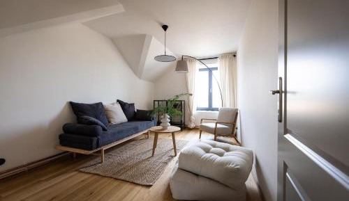 Family Room with Bath - Attic